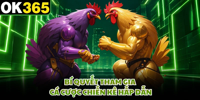 Bí quyết tham gia cá cược chiến kê hấp dẫn
