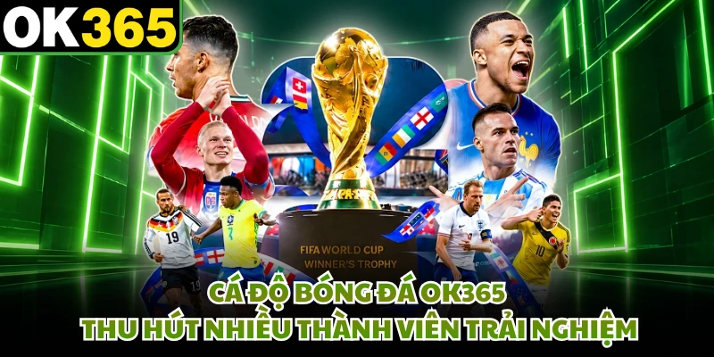 Cá độ bóng đá OK365 thu hút nhiều thành viên trải nghiệm