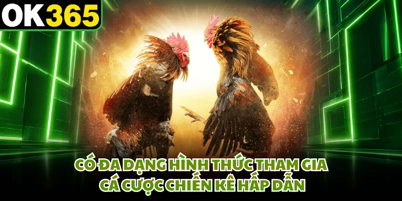 Có đa dạng hình thức tham gia cá cược chiến kê hấp dẫn