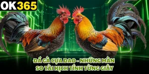 Đá Gà Cựa Dao - Những Màn So Tài Kịch Tính Từng Giây