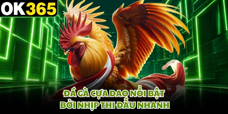 Đá gà cựa dao nổi bật bởi nhịp thi đấu nhanh