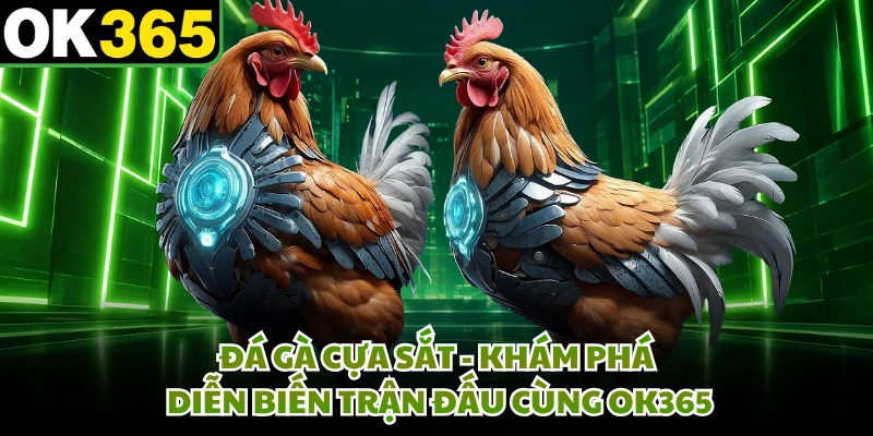 Đá Gà Cựa Sắt - Khám Phá Diễn Biến Trận Đấu Cùng OK365