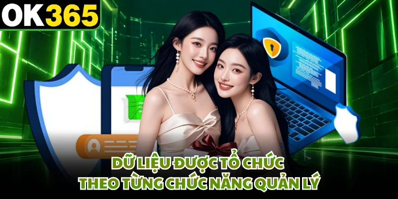 Dữ liệu được tổ chức theo từng chức năng quản lý
