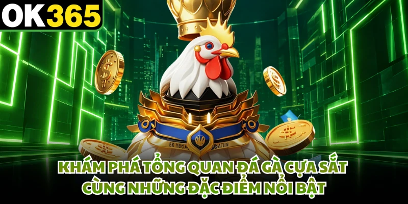 Khám phá tổng quan đá gà cựa sắt cùng những đặc điểm nổi bật