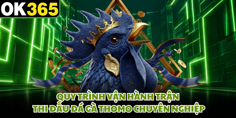 Quy trình vận hành trận thi đấu đá gà thommo chuyên nghiệp