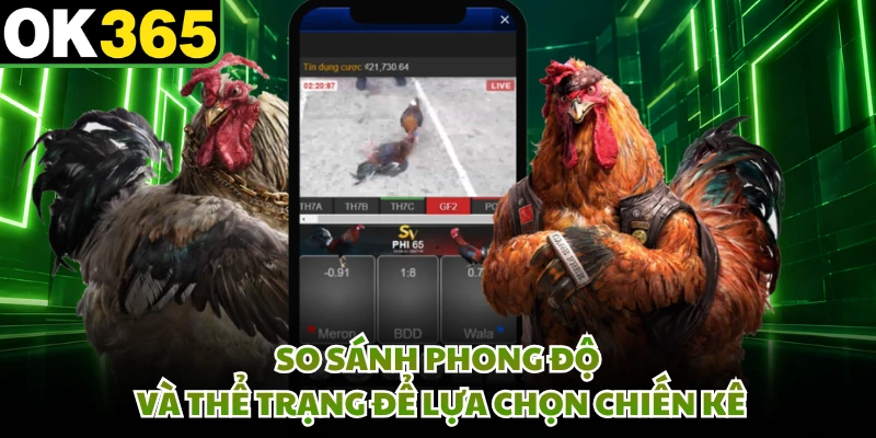 So sánh phong độ và thể trạng để lựa chọn chiến kê