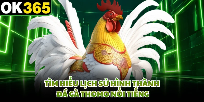 Tìm hiểu lịch sử hình thành đá gà thommo nổi tiếng