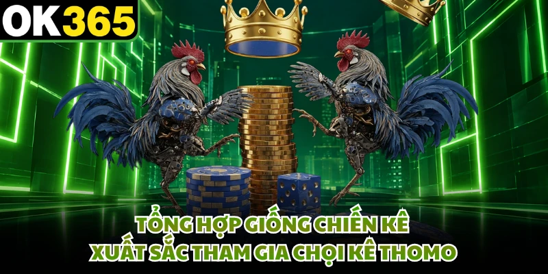 Tổng hợp giống chiến kê xuất sắc tham gia chọi kê thommo