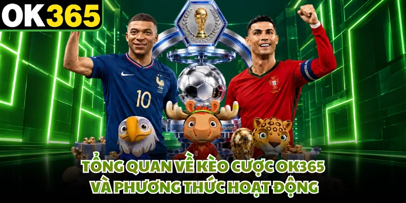 Tổng quan về kèo cược OK365 và phương thức hoạt động